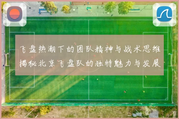 飞盘热潮下的团队精神与战术思维揭秘北京飞盘队的独特魅力与发展之路MBA