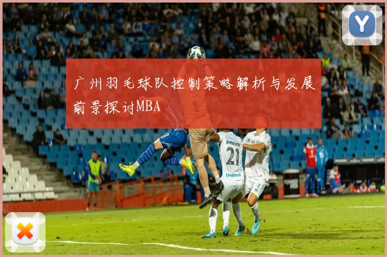 广州羽毛球队控制策略解析与发展前景探讨MBA