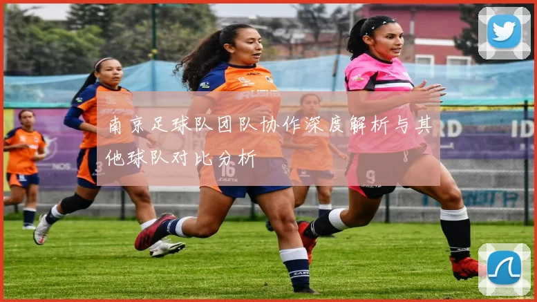 南京足球队团队协作深度解析与其他球队对比分析