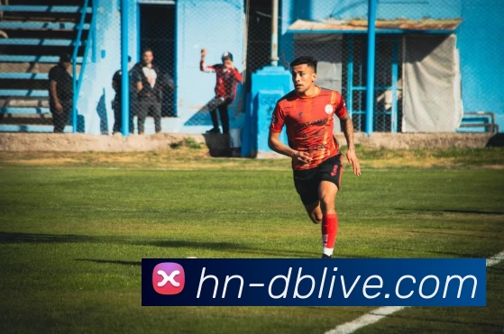 DB旗舰集团发展历程