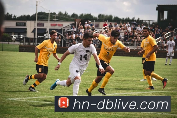 App Interface Preview