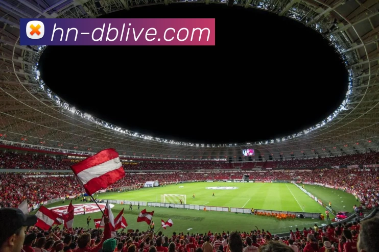 广州飞盘队中路突破新战术解析助力球队崛起与发展MBA